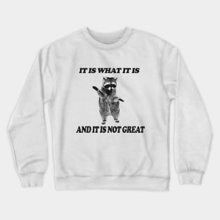 It Is What It Is And It Is Not Great Raccoon Shirt - Vintage Drawing T Shirt, Raccoon Meme T Shirt, Funny Y2K Tee Shirt, Unisex Crewneck Sweatshirt